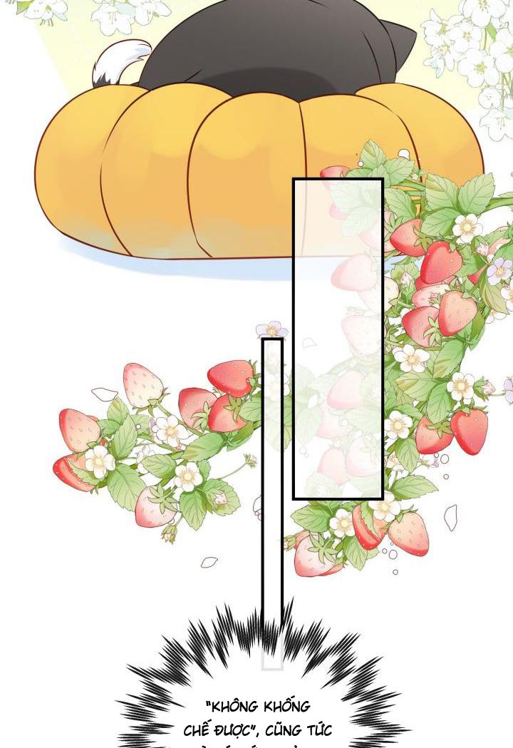 Dinh Dưỡng Quá Tốt: Chapter 17
