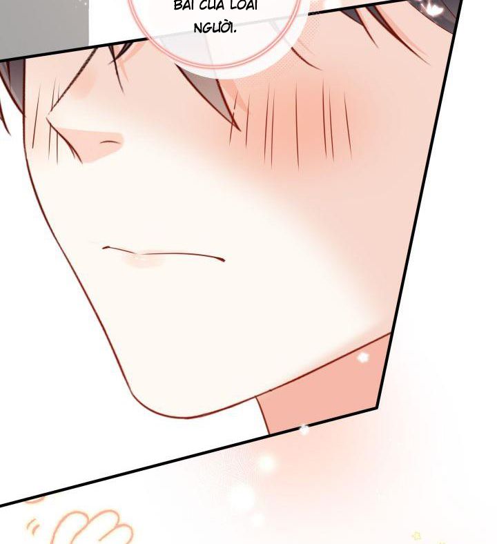 Dinh Dưỡng Quá Tốt: Chapter 17
