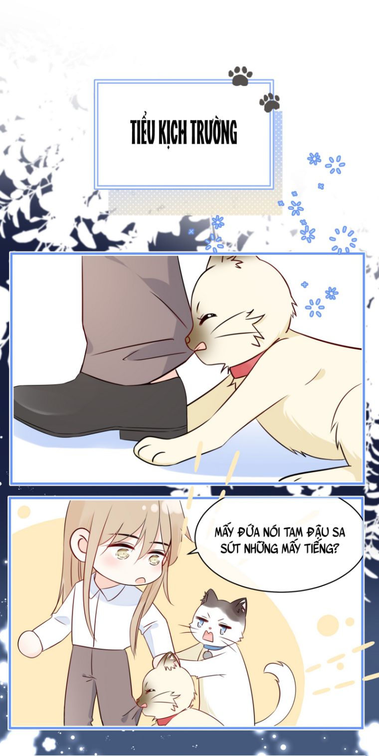 Dinh Dưỡng Quá Tốt: Chapter 19