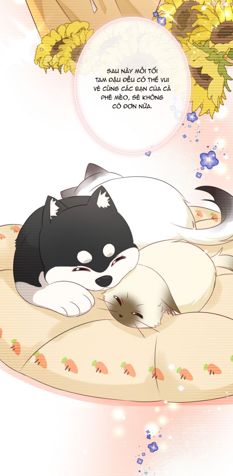 Dinh Dưỡng Quá Tốt: Chapter 19