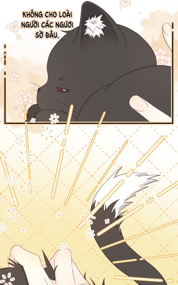 Dinh Dưỡng Quá Tốt: Chapter 2