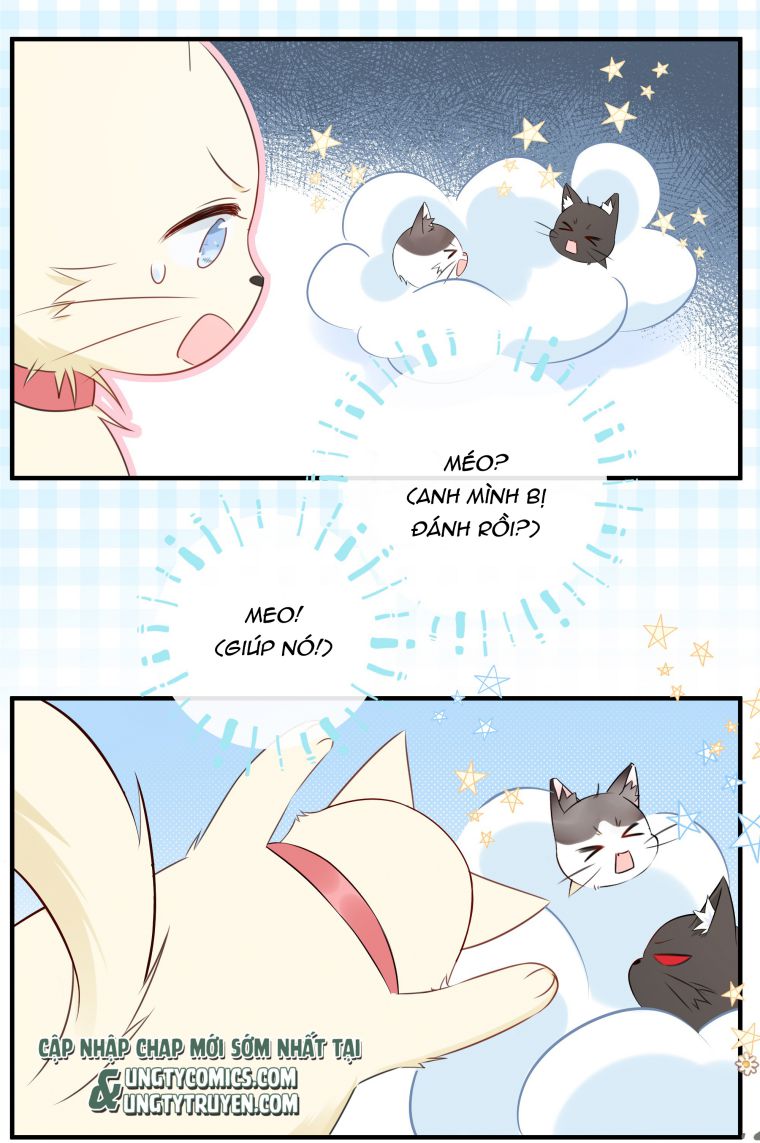 Dinh Dưỡng Quá Tốt: Chapter 22
