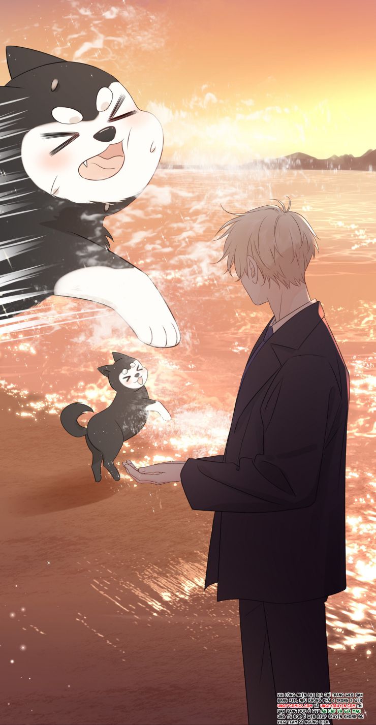 Dinh Dưỡng Quá Tốt: Chapter 34