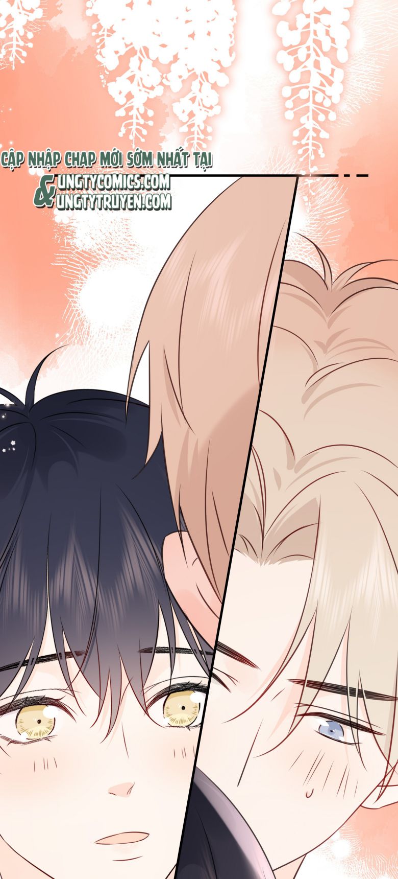 Dinh Dưỡng Quá Tốt: Chapter 36