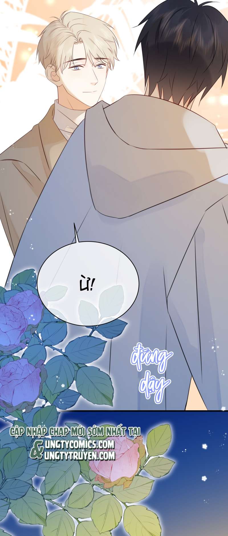 Dinh Dưỡng Quá Tốt: Chapter 37