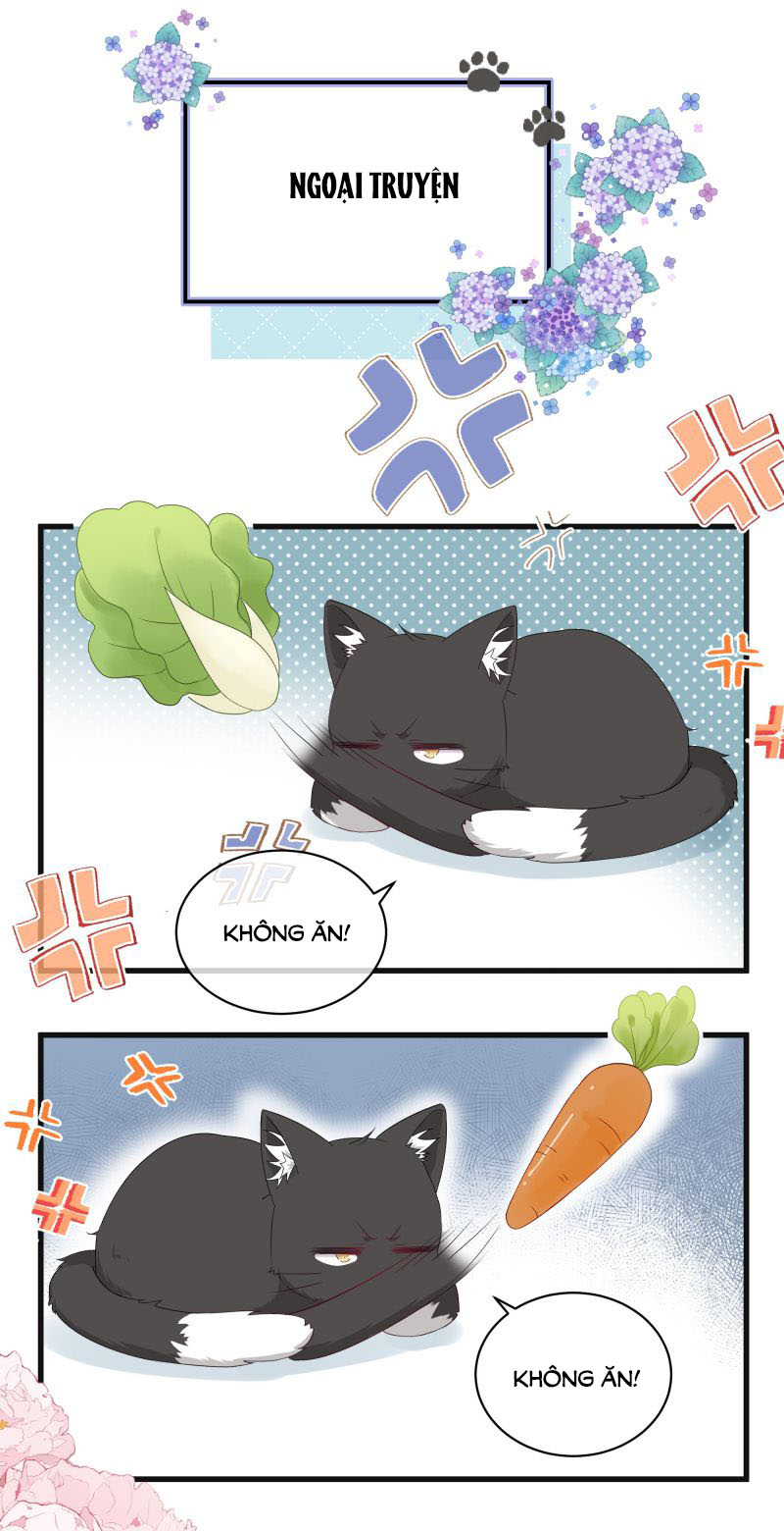 Dinh Dưỡng Quá Tốt: Chapter 4