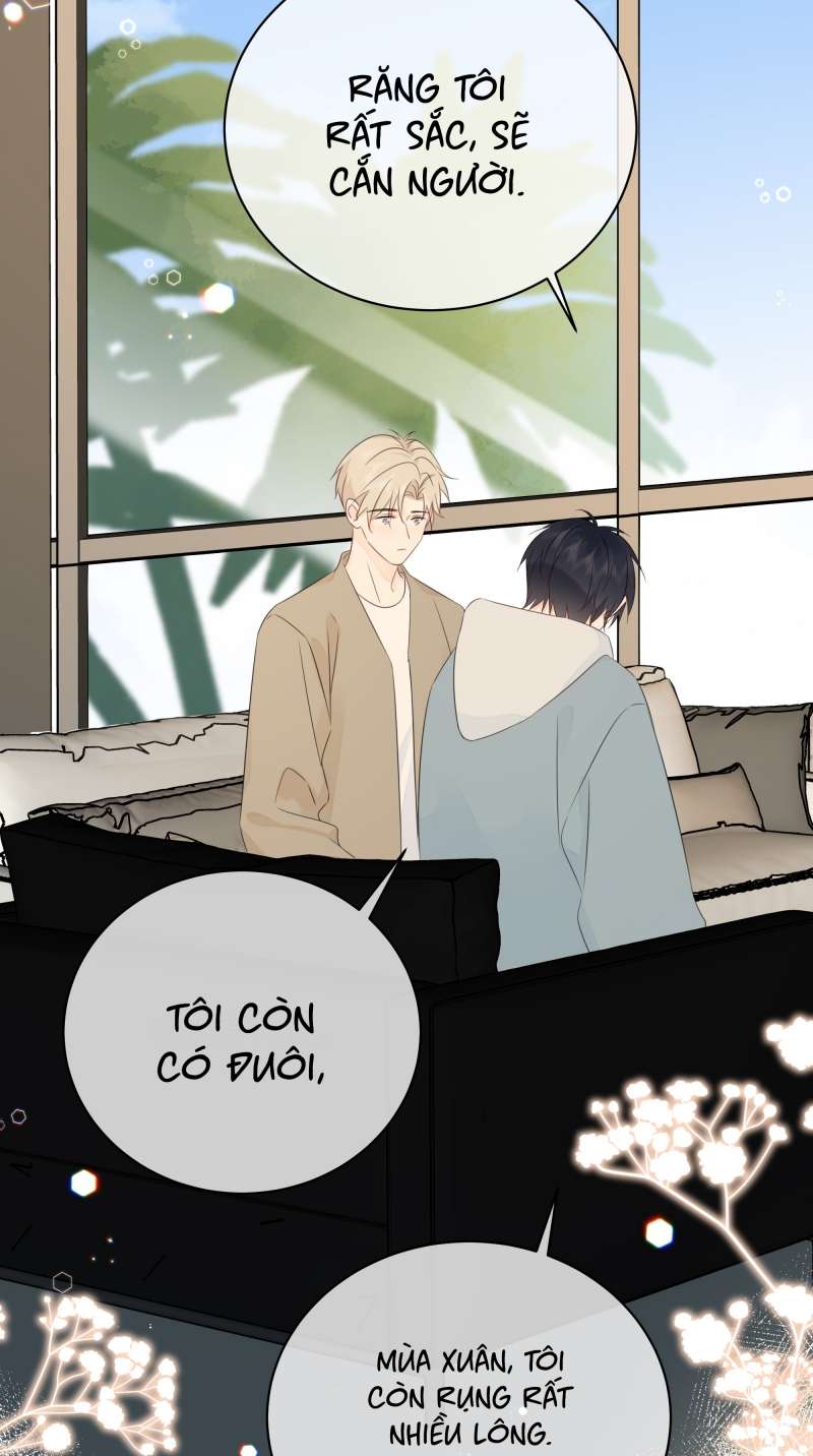 Dinh Dưỡng Quá Tốt: Chapter 42
