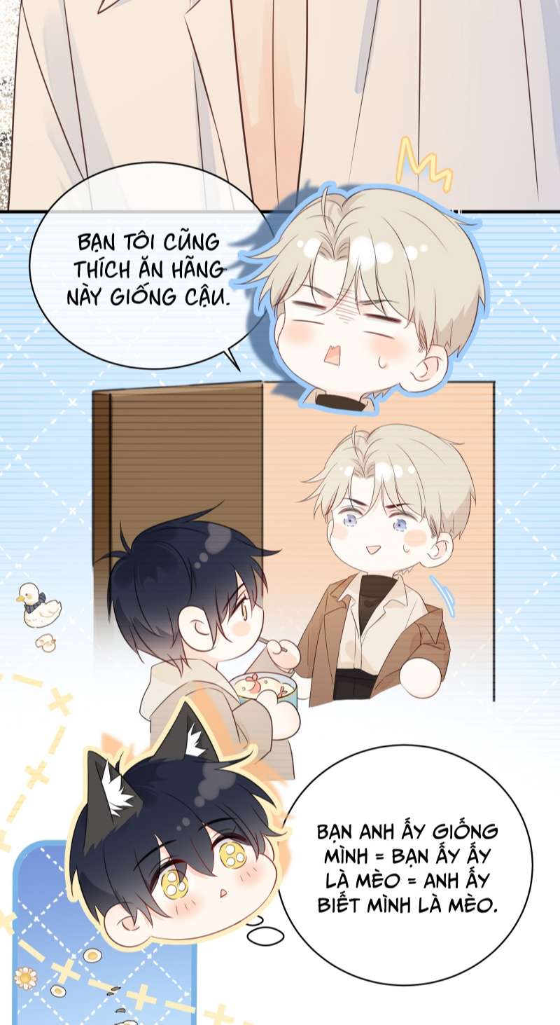 Dinh Dưỡng Quá Tốt: Chapter 42