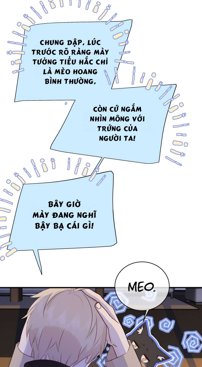 Dinh Dưỡng Quá Tốt: Chapter 44
