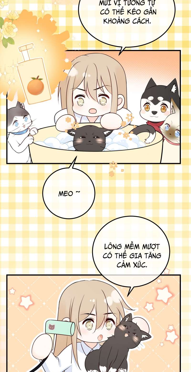 Dinh Dưỡng Quá Tốt: Chapter 45