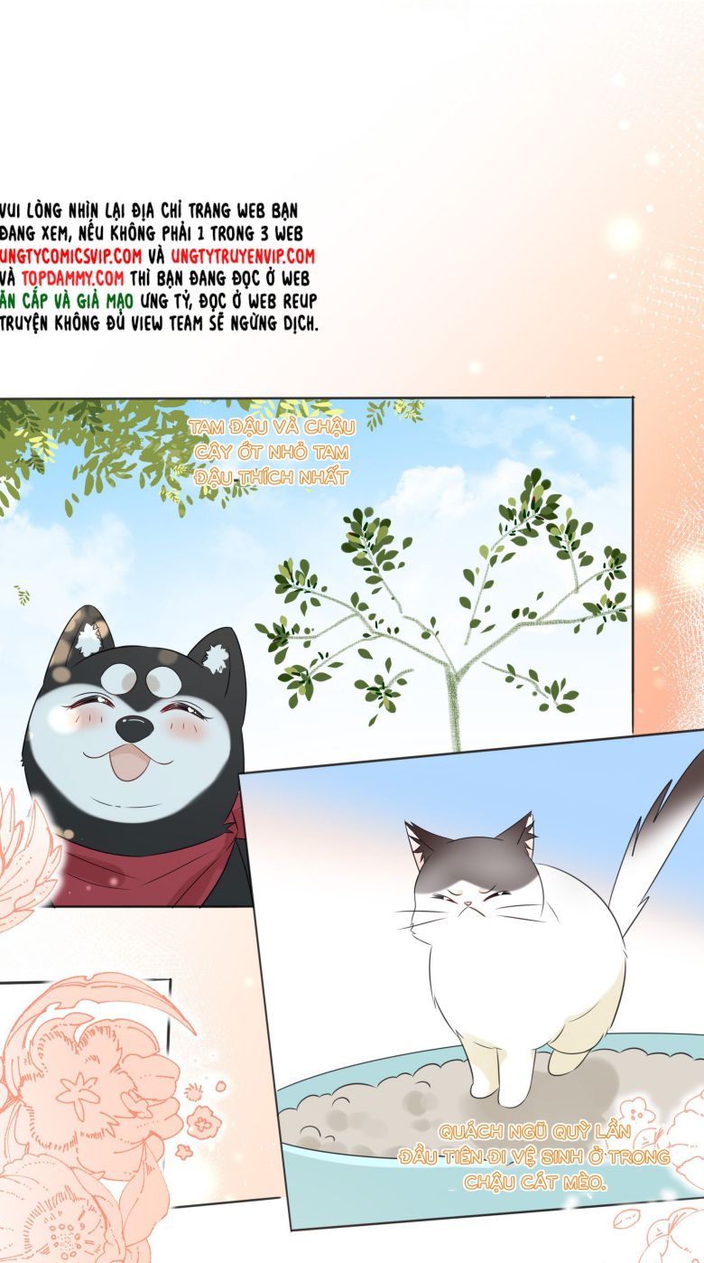 Dinh Dưỡng Quá Tốt: Chapter 48