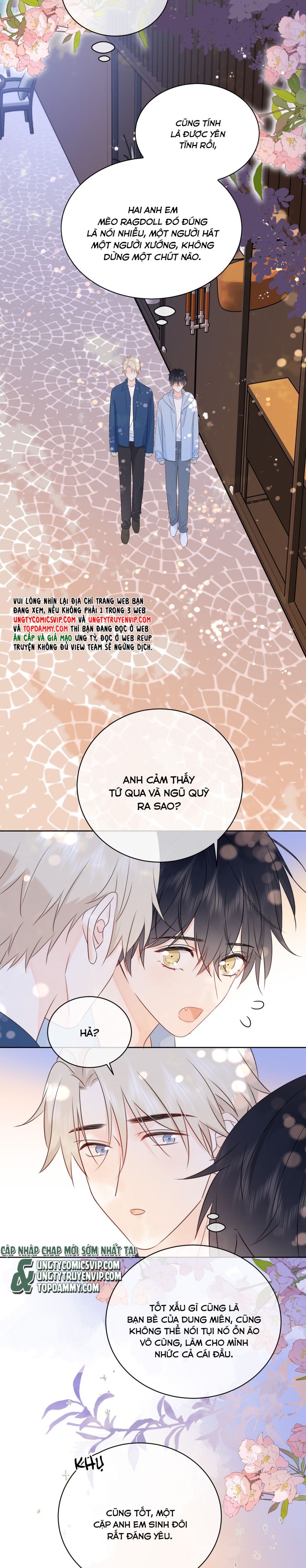 Dinh Dưỡng Quá Tốt: Chapter 48