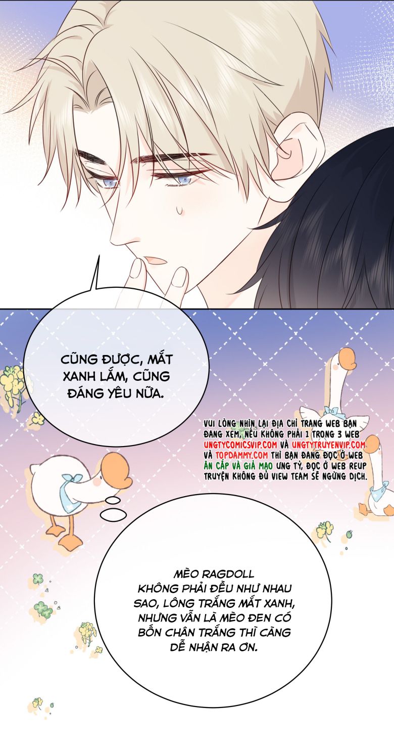 Dinh Dưỡng Quá Tốt: Chapter 48