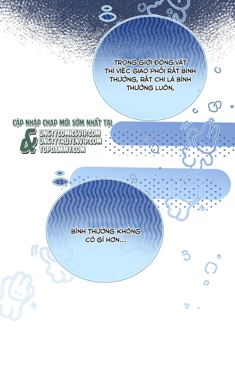 Dinh Dưỡng Quá Tốt: Chapter 48