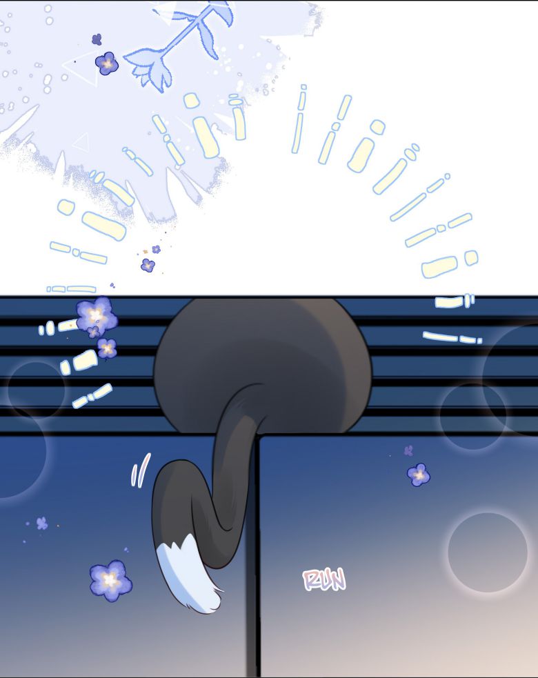 Dinh Dưỡng Quá Tốt: Chapter 49