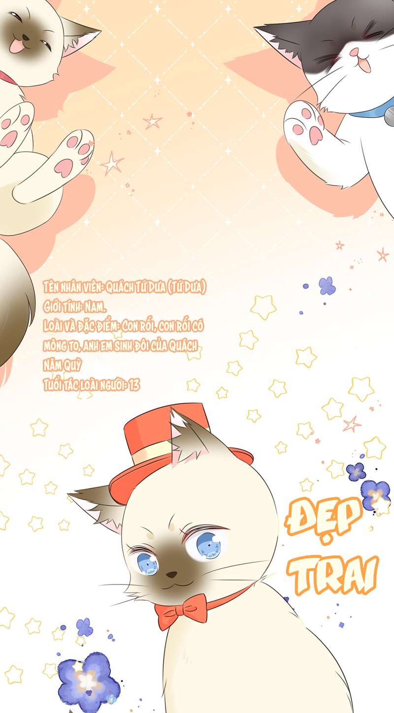 Dinh Dưỡng Quá Tốt: Chapter 51