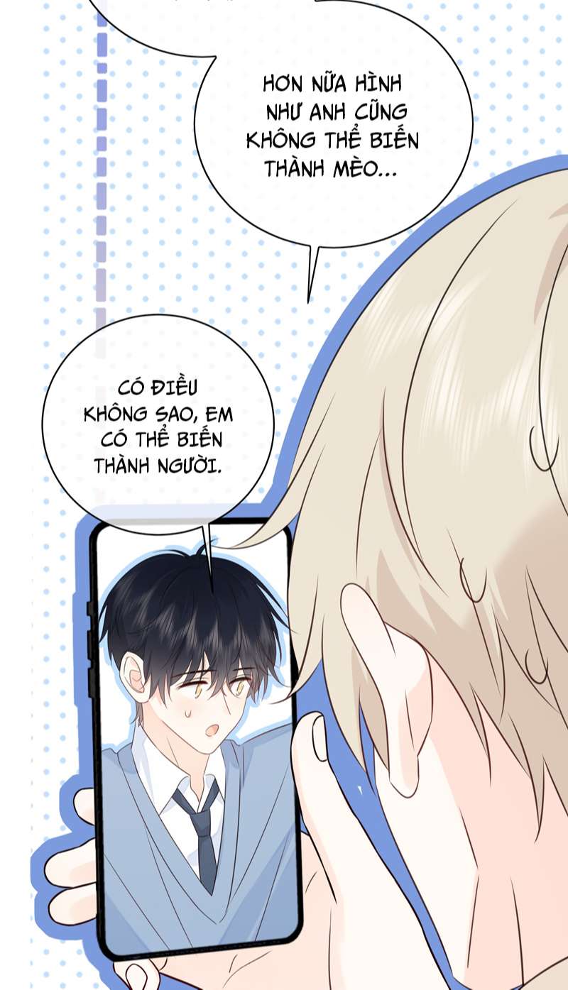 Dinh Dưỡng Quá Tốt: Chapter 52