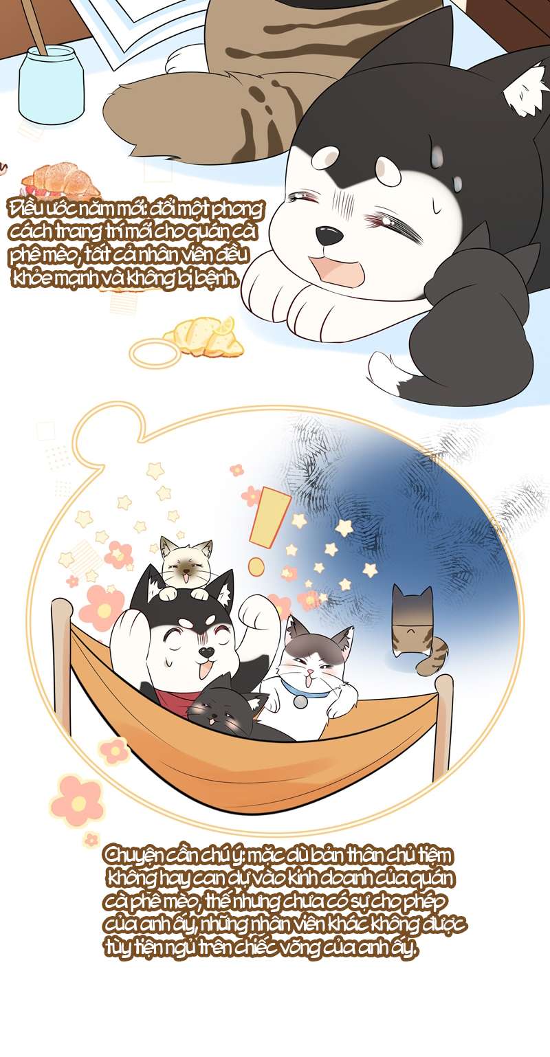 Dinh Dưỡng Quá Tốt: Chapter 53