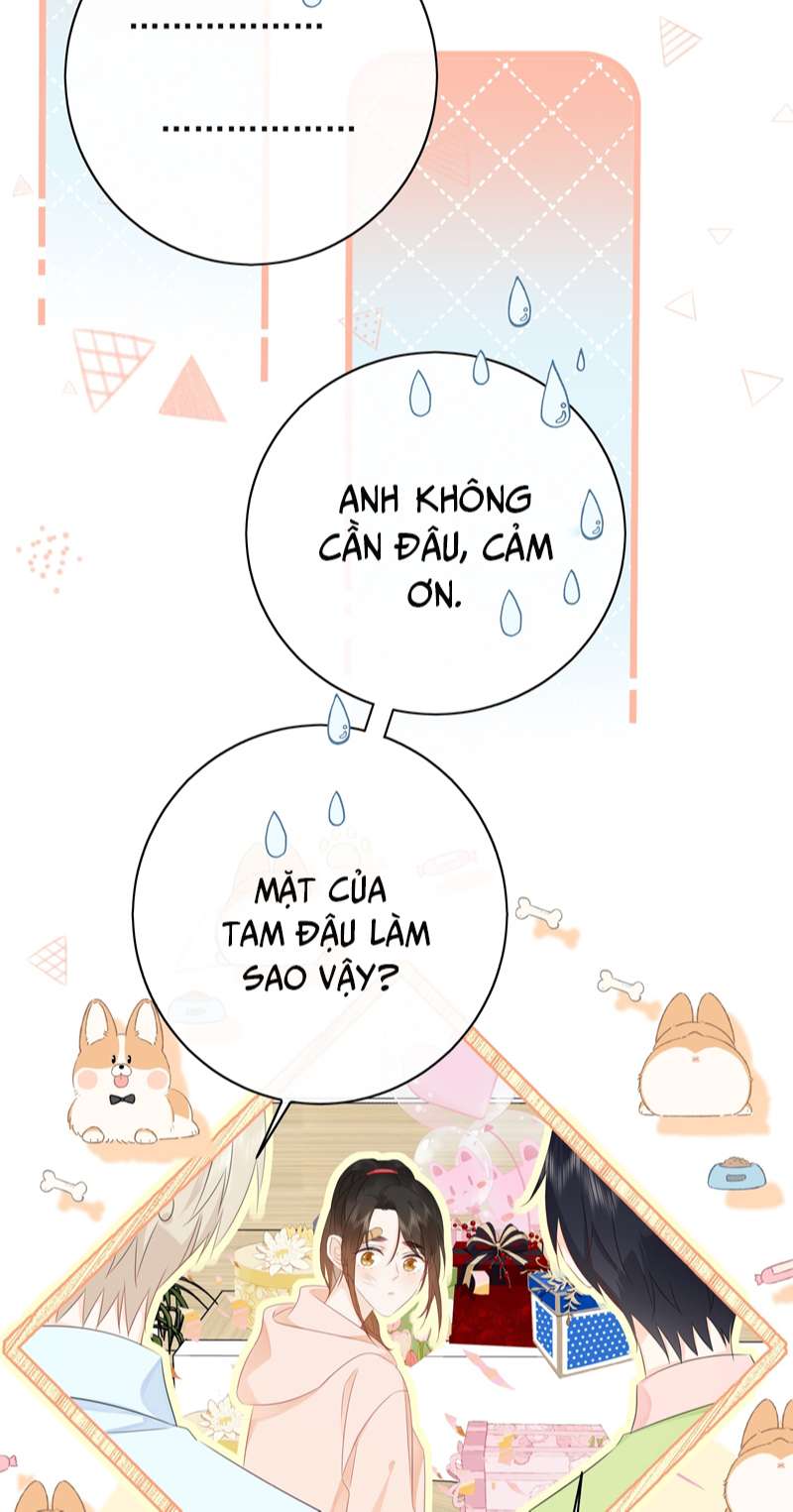 Dinh Dưỡng Quá Tốt: Chapter 56