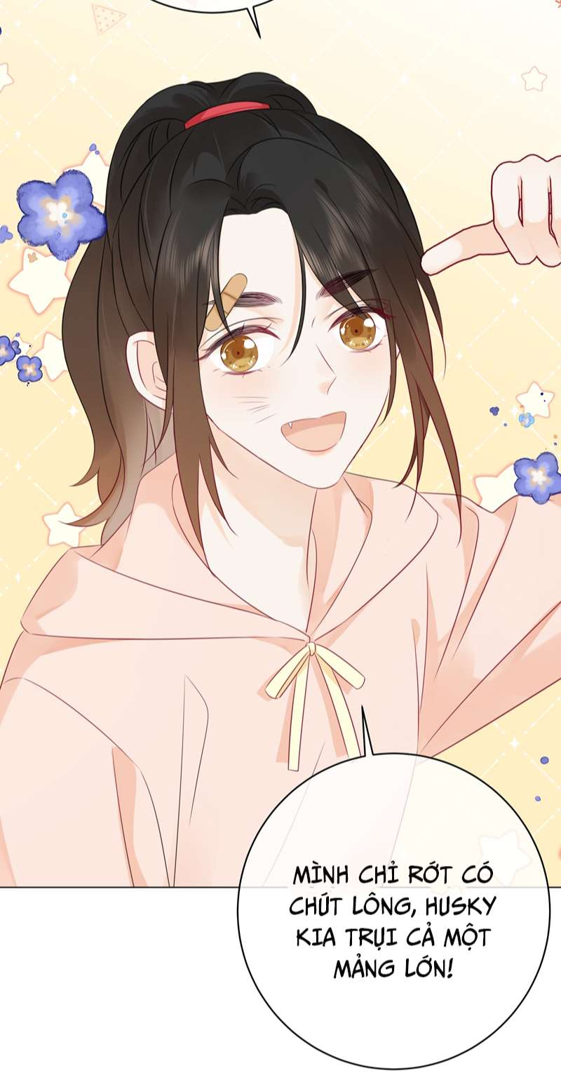 Dinh Dưỡng Quá Tốt: Chapter 56
