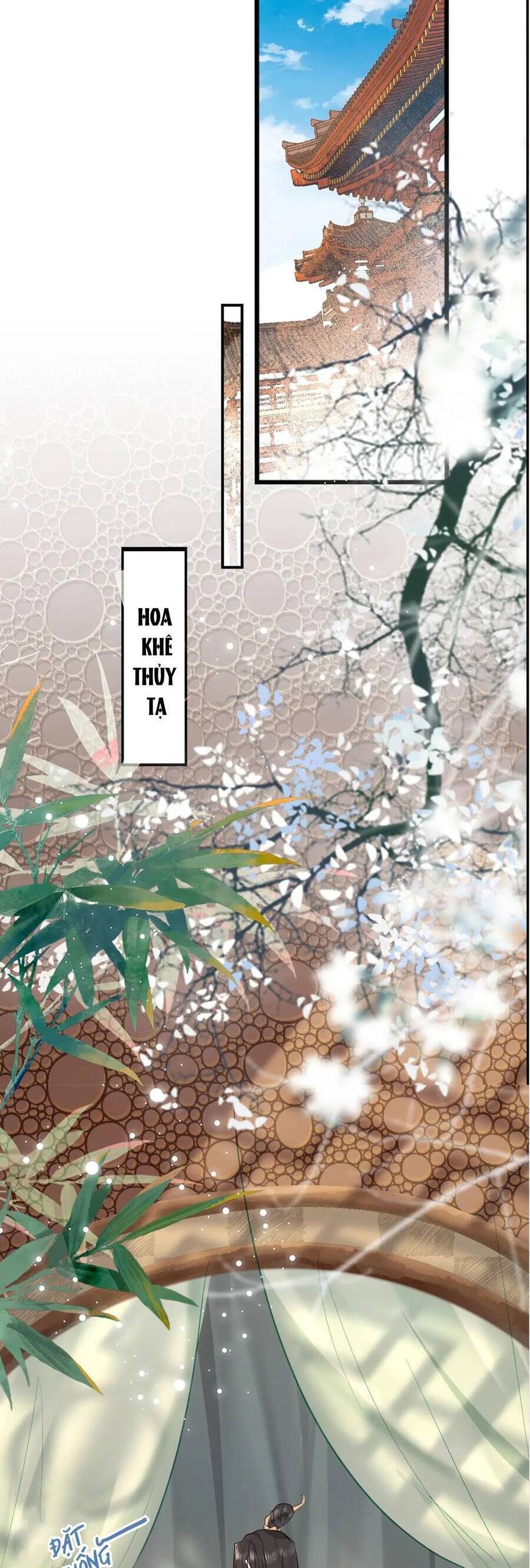 Xuyên Sách: Nghịch Đồ Lại Muốn Ức Hiếp Sư Phụ: Chapter 3