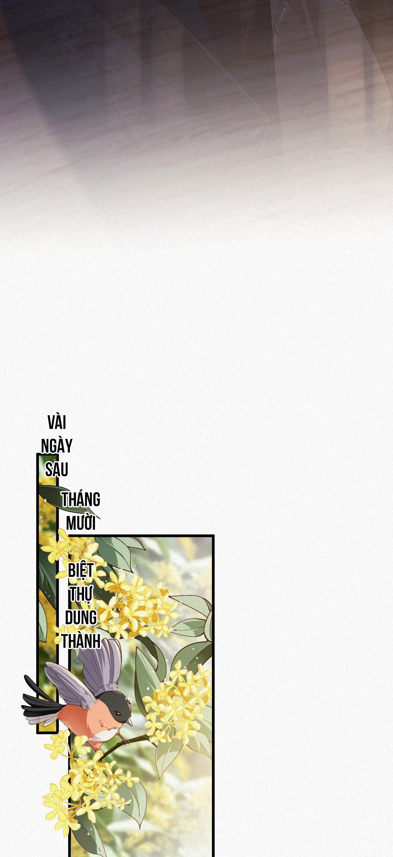 Chồng Cũ Muốn Tái Hôn Lần Nữa: Chapter 24