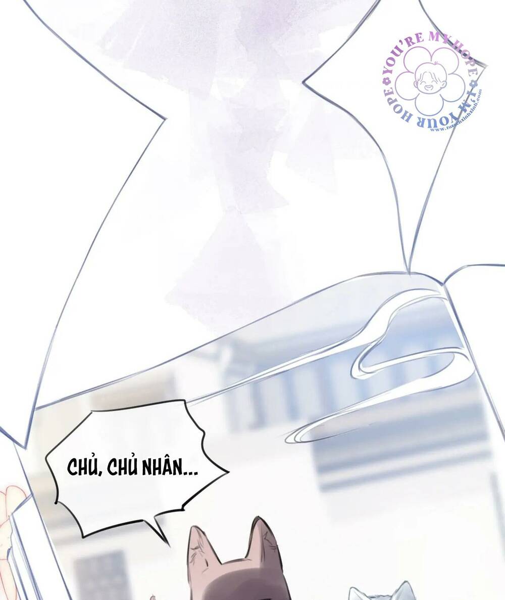 Vi Phu Của Ta Là Long Ngạo Thiên: Chapter 32