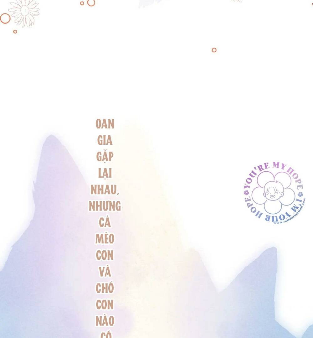 Vi Phu Của Ta Là Long Ngạo Thiên: Chapter 32