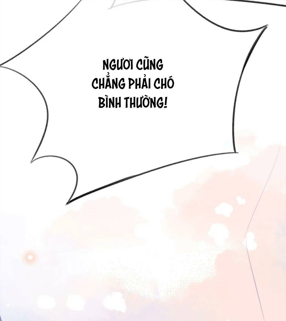 Vi Phu Của Ta Là Long Ngạo Thiên: Chapter 32