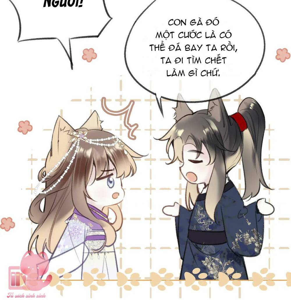 Vi Phu Của Ta Là Long Ngạo Thiên: Chapter 40