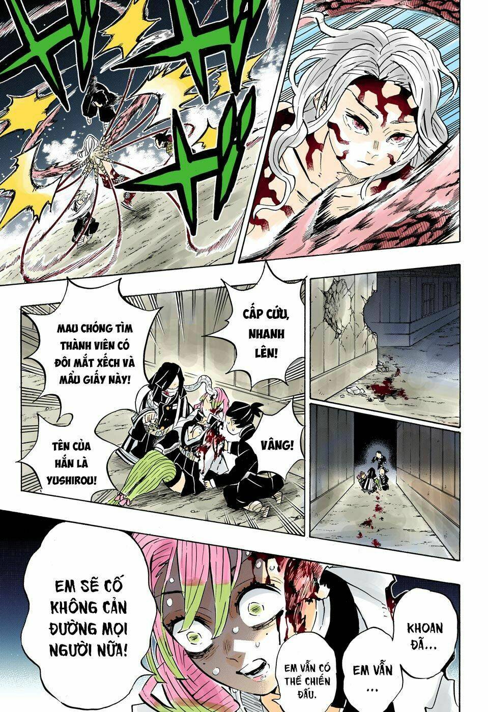 Thanh Gươm Diệt Quỷ: Chapter 188: Mối liên kết đắng cay