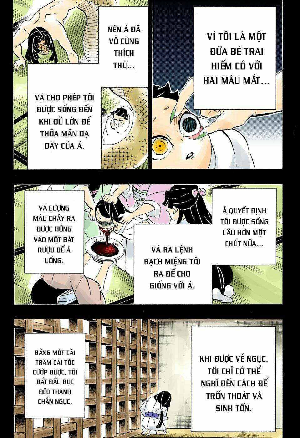 Thanh Gươm Diệt Quỷ: Chapter 188: Mối liên kết đắng cay