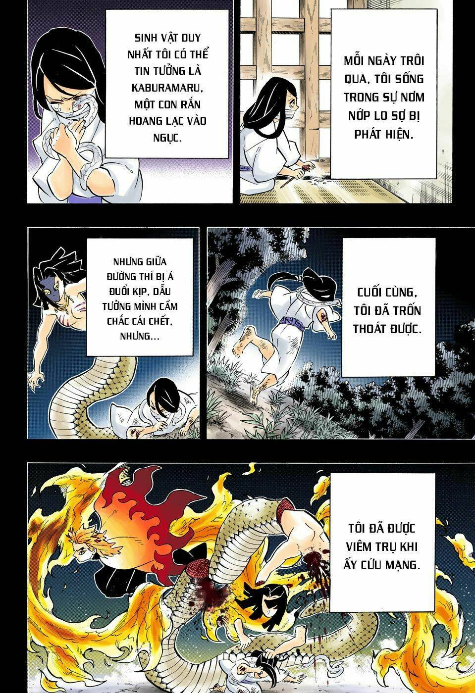 Thanh Gươm Diệt Quỷ: Chapter 188: Mối liên kết đắng cay
