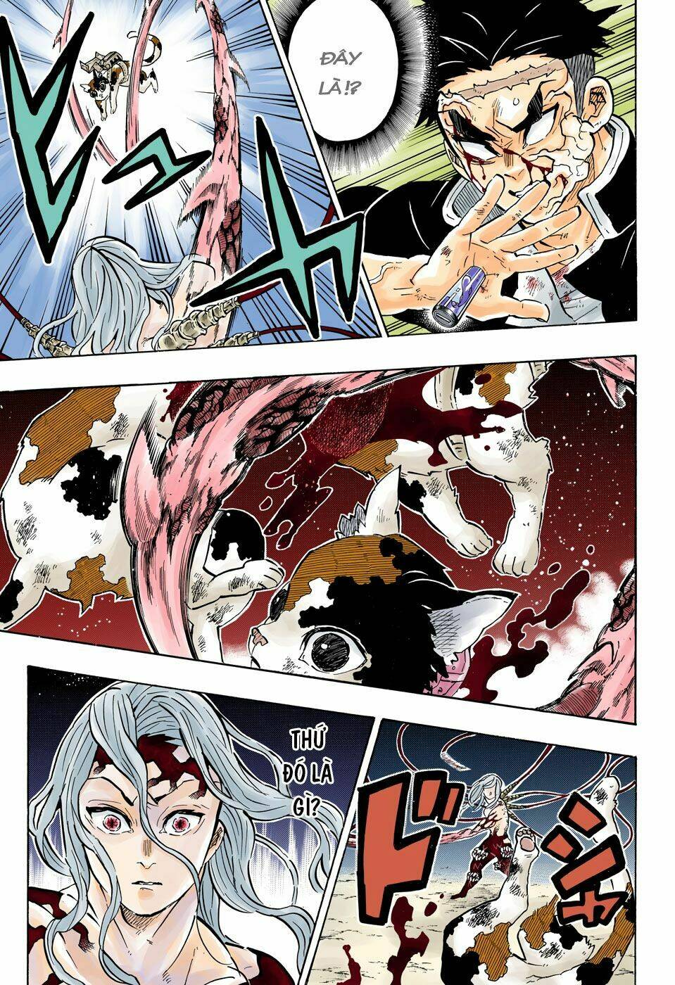 Thanh Gươm Diệt Quỷ: Chapter 189