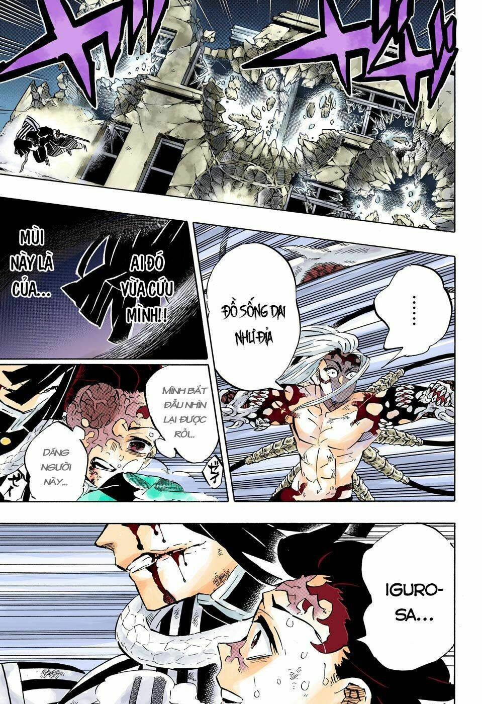 Thanh Gươm Diệt Quỷ: Chapter 194