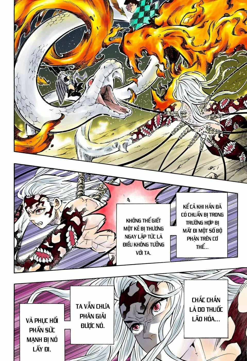 Thanh Gươm Diệt Quỷ: Chapter 194
