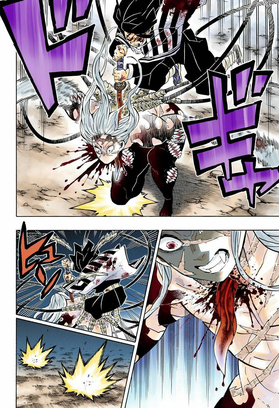 Thanh Gươm Diệt Quỷ: Chapter 195
