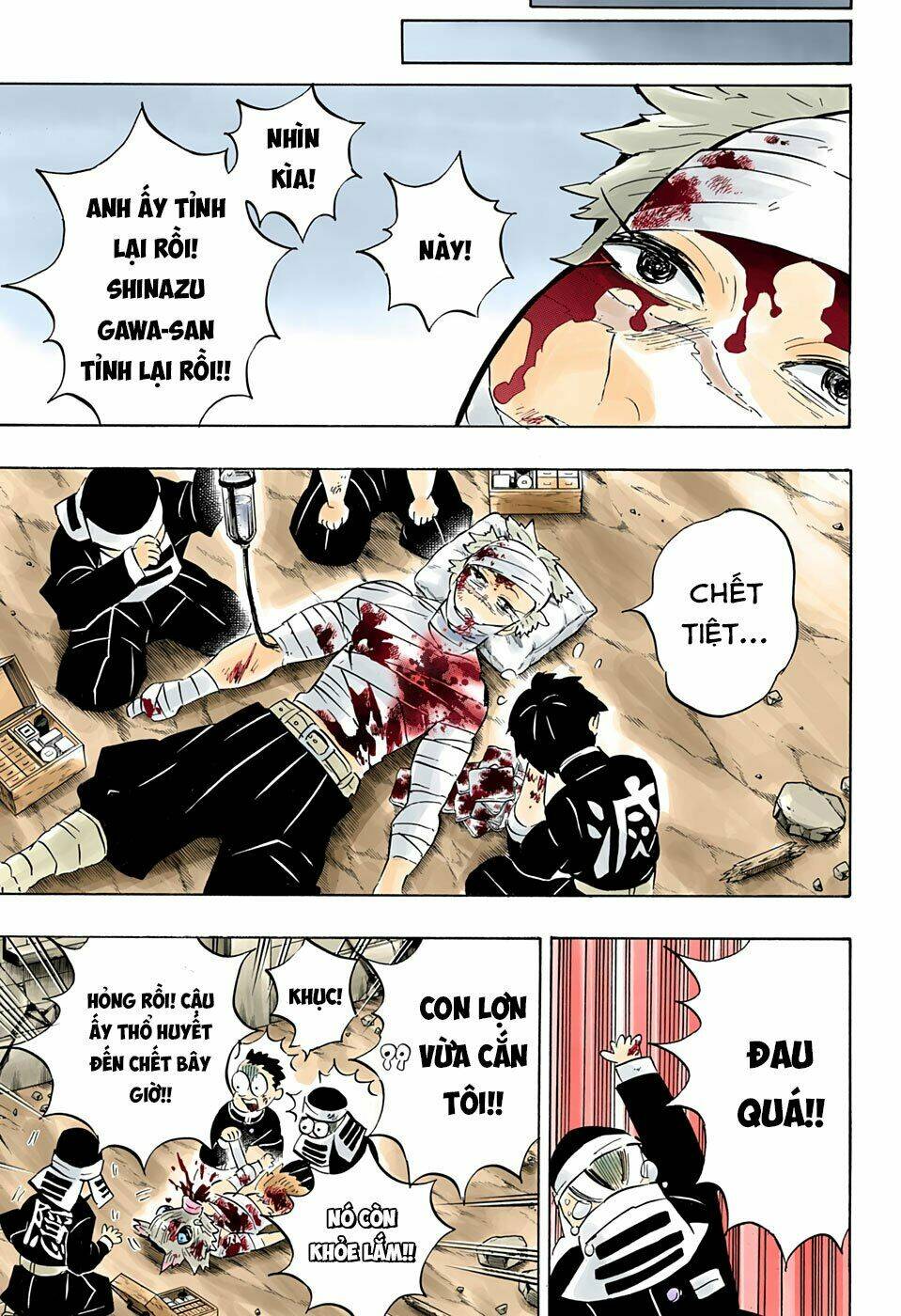 Thanh Gươm Diệt Quỷ: Chapter 200: Cái giá phải trả cho chiến thắng