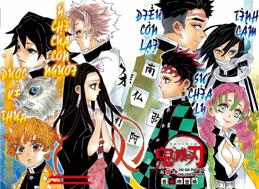 Thanh Gươm Diệt Quỷ: Chapter 200: Cái giá phải trả cho chiến thắng