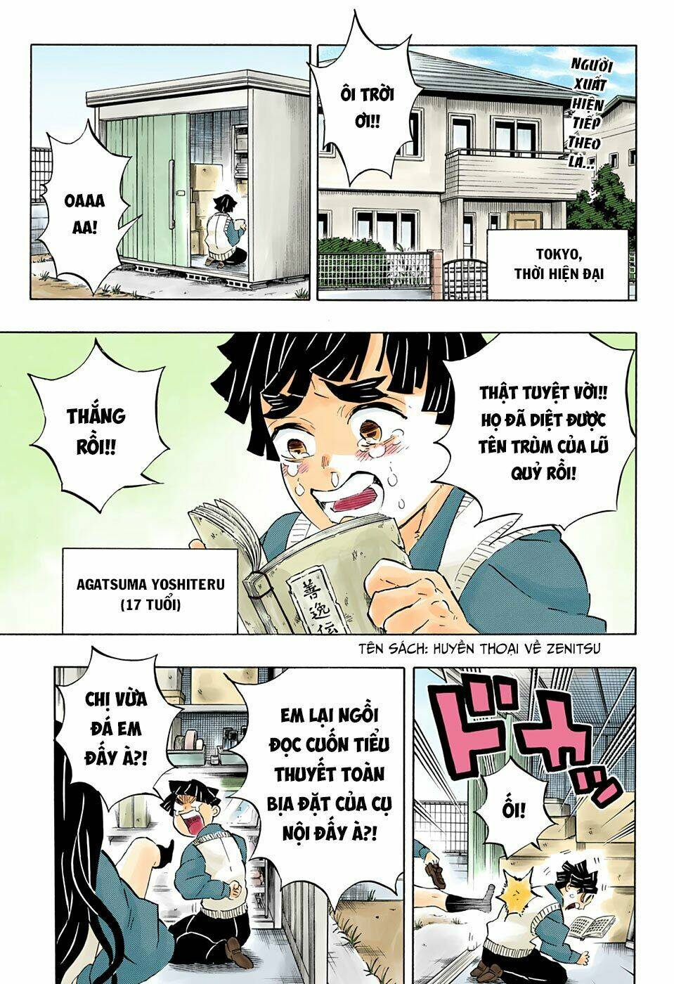 Thanh Gươm Diệt Quỷ: Chapter 205: Những cuộc sống mãi tỏa sáng theo tháng năm [END]