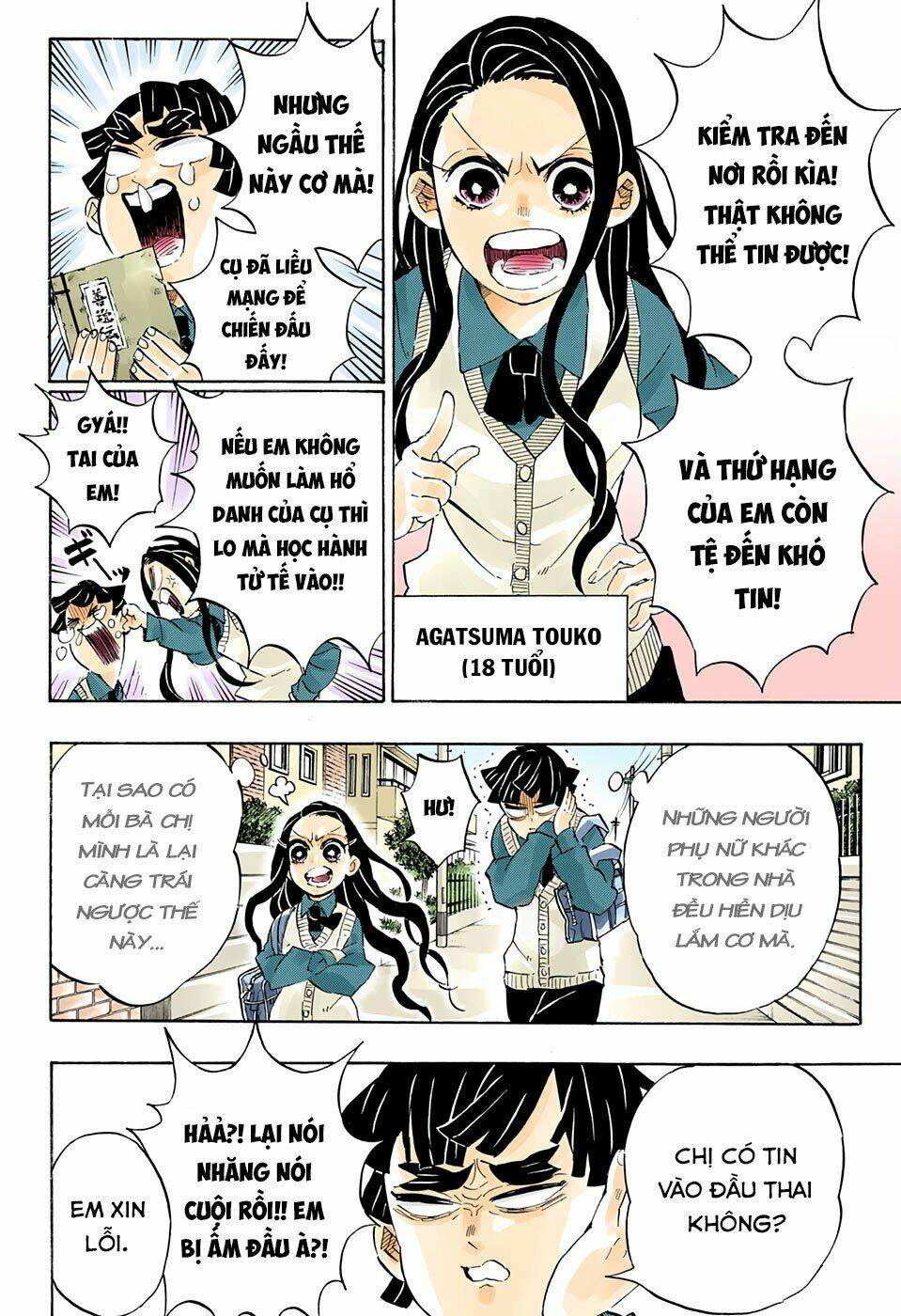 Thanh Gươm Diệt Quỷ: Chapter 205: Những cuộc sống mãi tỏa sáng theo tháng năm [END]