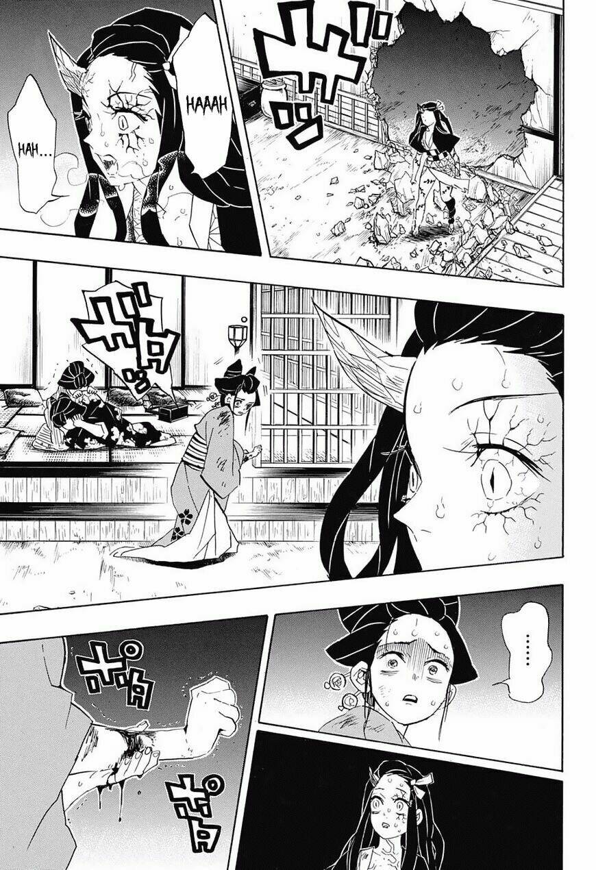 Thanh Gươm Diệt Quỷ: Chapter 84: Điều quý giá