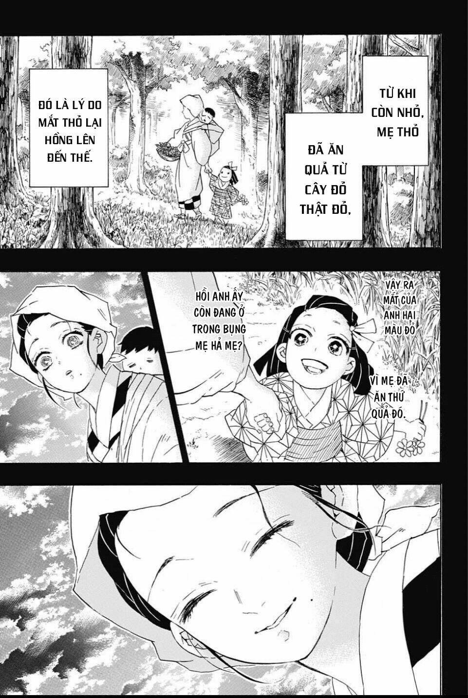 Thanh Gươm Diệt Quỷ: Chapter 85: Bù lu bù loa