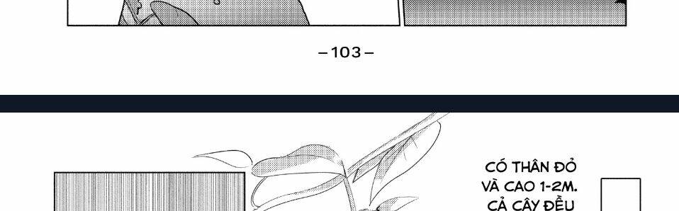 Sounan desu ka?: Chapter 38