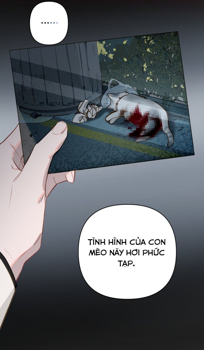Tôi Có Bệnh: Chapter 20