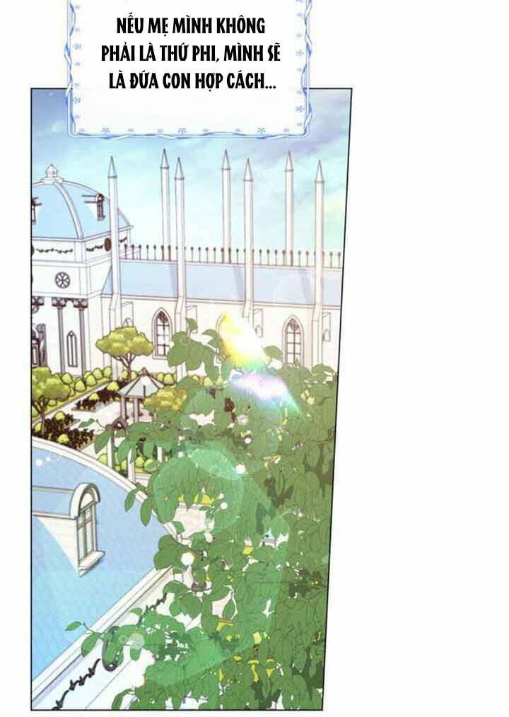 Tôi được sinh ra là con gái thứ hai: Chapter 2
