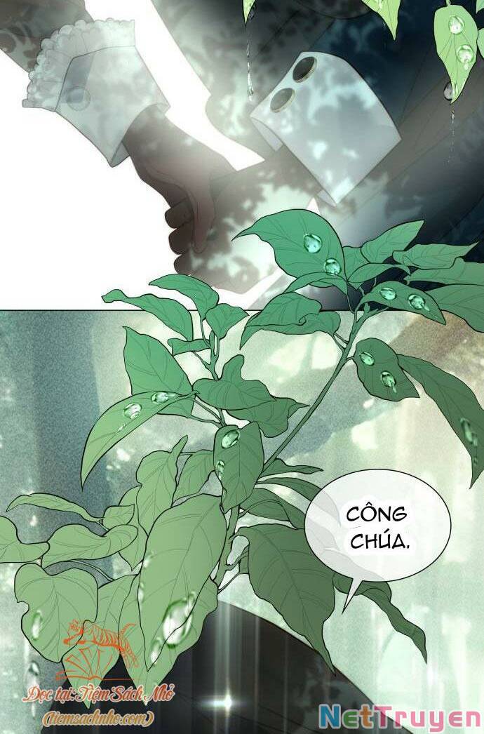 Tôi được sinh ra là con gái thứ hai: Chapter 31