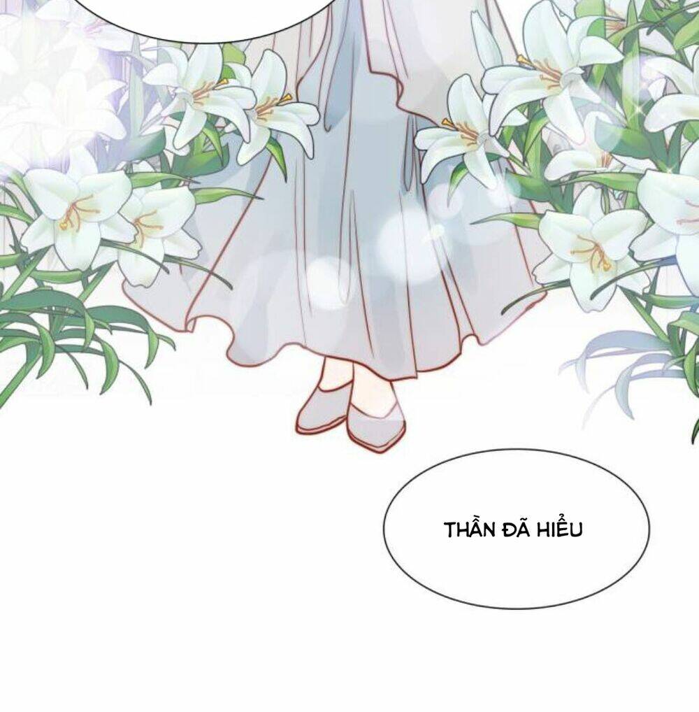 Tôi được sinh ra là con gái thứ hai: Chapter 4