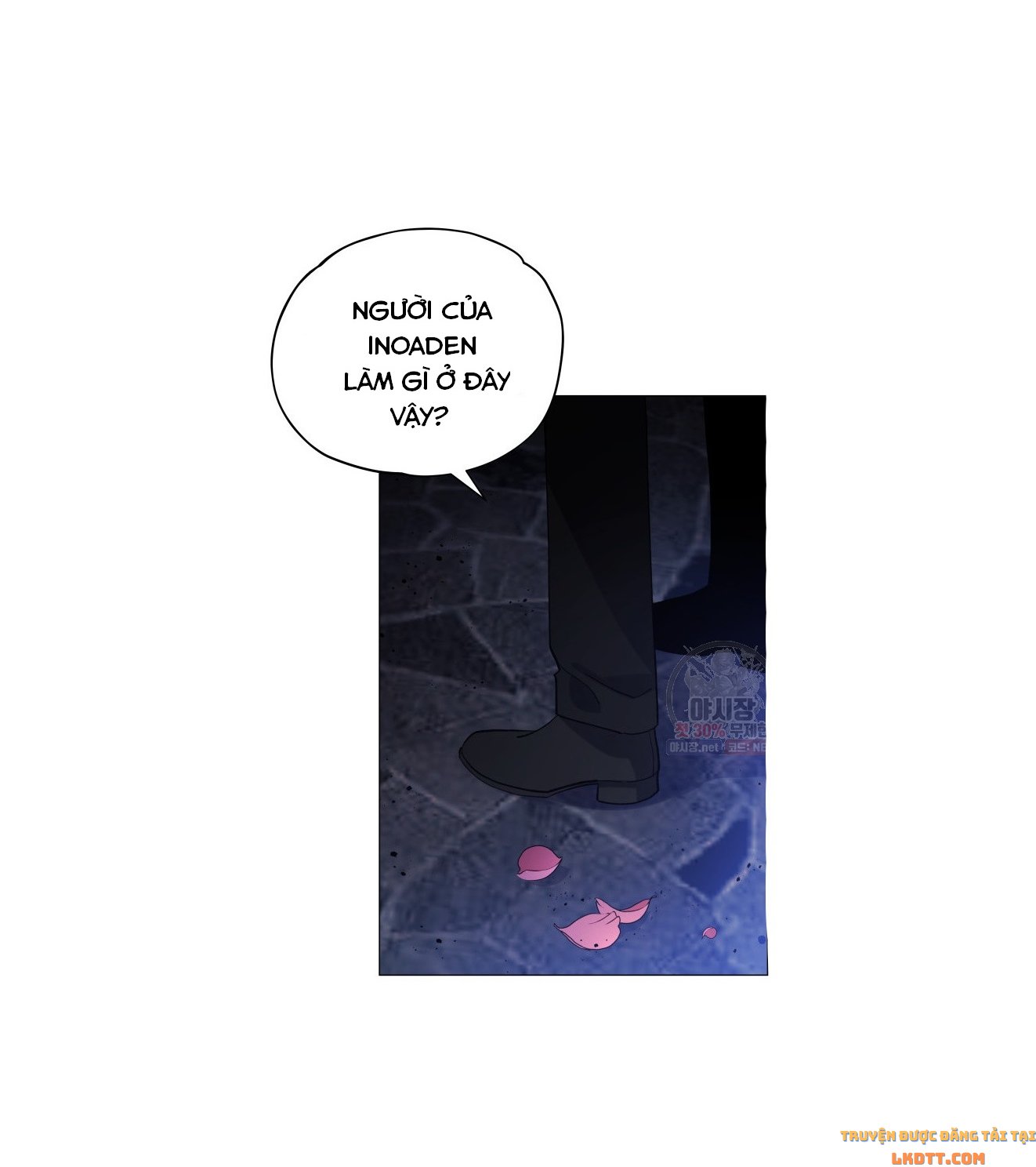 Quý Cô Không Thể Tiếp Cận: Chapter 11.1