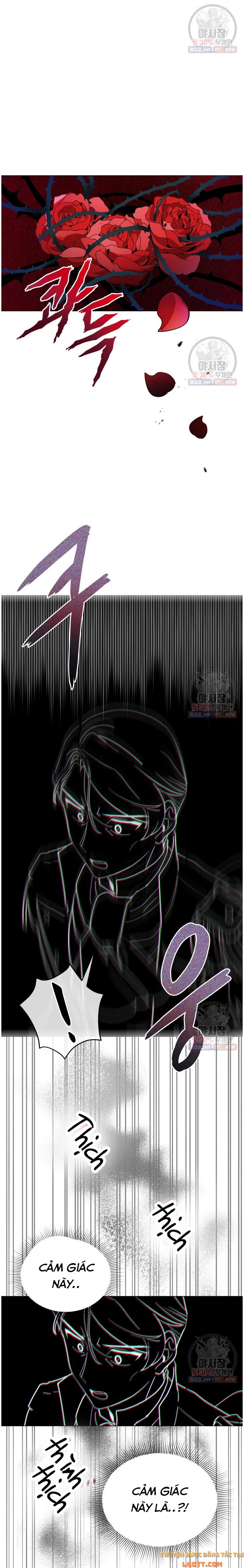 Quý Cô Không Thể Tiếp Cận: Chapter 13